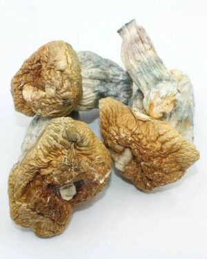 Buy Psilocybin Magic Mushroom Without Prescription